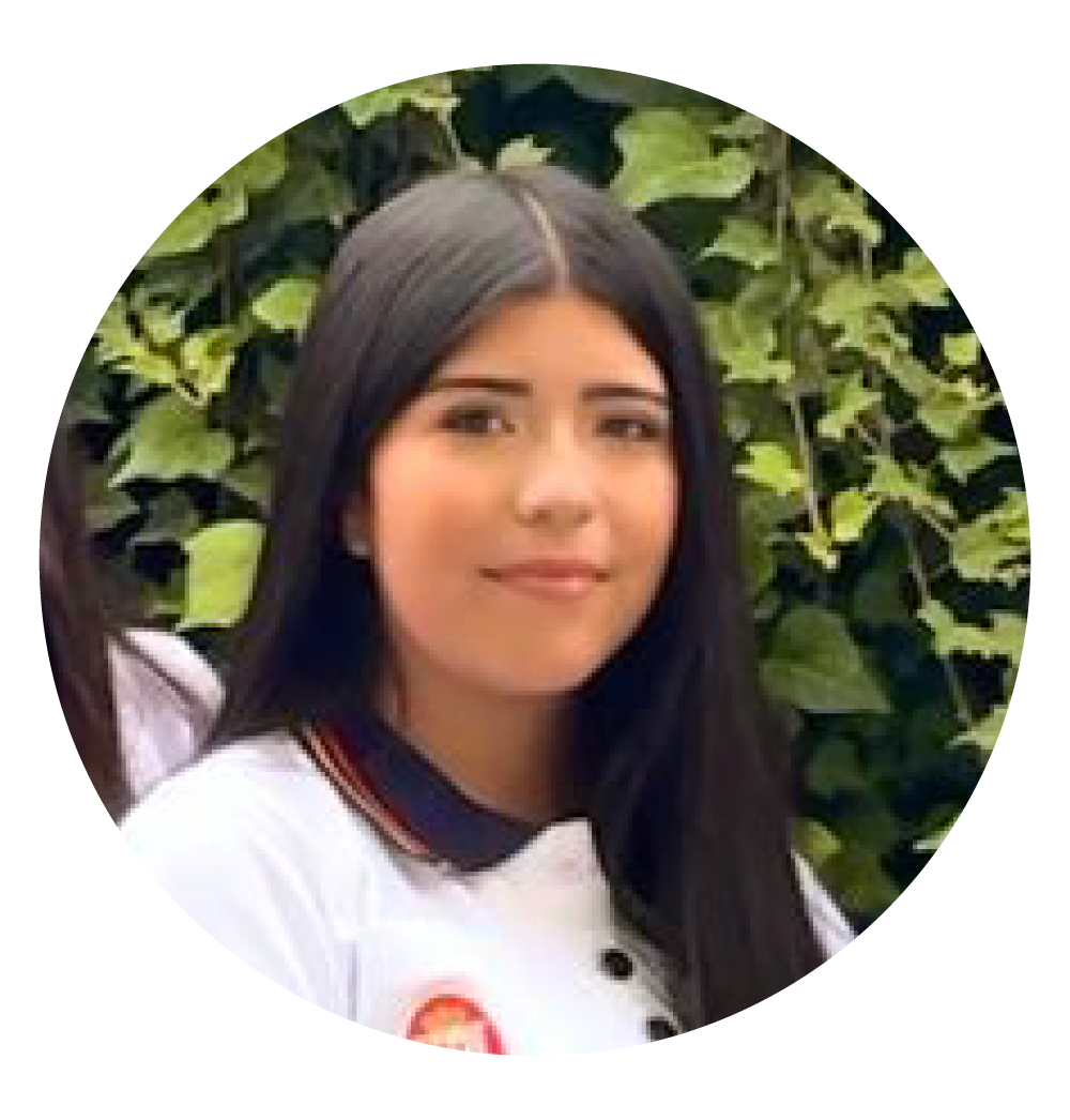 Representante de Básica